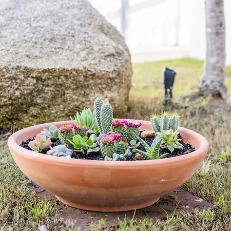 Natura بيت ضيافة 3*